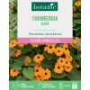 Sale BOTANIC® Graines de fleurs de Suzanneauxyeuxnoirs ou Thunbergia alata