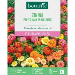 Discount BOTANIC® Graines de fleurs de Zinnia pepito nain en mélange