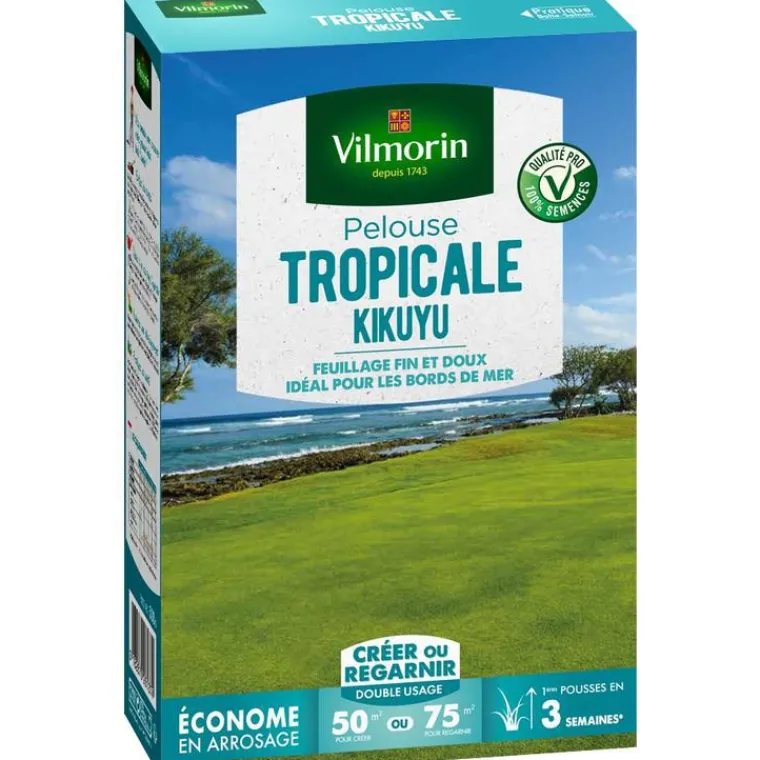 New VILMORIN Graines de gazon à semer pelouse tropicale kikuyu - 500 g