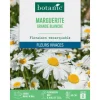 Online BOTANIC® Graines de grande marguerite blanche - graines à semer