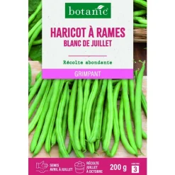 Clearance BOTANIC® Graines de haricot à rames blanc de Juillet mangetout - graines à semer 200 g