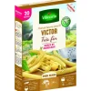 VILMORIN Graines de haricot nain Victor - graines à semer