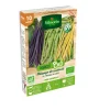 Hot VILMORIN Graines de Haricot Rame mix bio - graines à semer