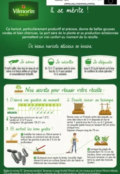 Hot VILMORIN Graines de Haricot vert sans fil Emerite fin - graines à semer