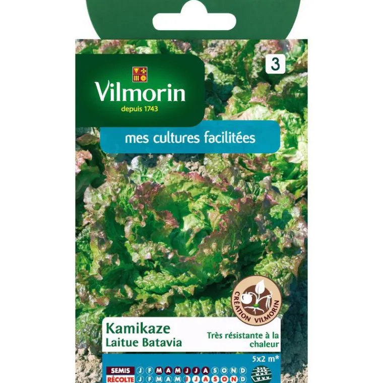 Outlet VILMORIN Graines de laitue batavia kamikaz - graines à semer