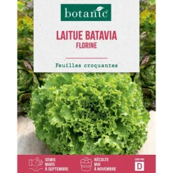 Best BOTANIC® Graines de laitue batavia florine - graines à semer