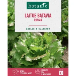 Sale BOTANIC® Graines de laitue batavia rossia - graines batavia semer