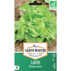 Online FERME DE SAINTE MARTHE Graines de laitue pommée express bio - graines à semer