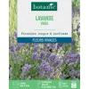 Hot BOTANIC® Graines de lavande variée - graines à semer