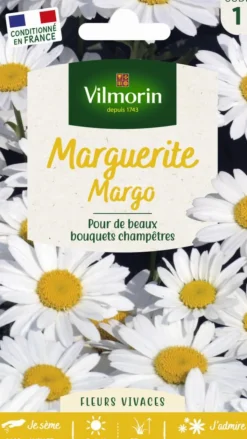 Online VILMORIN Graines de Marguerite Margo - graines à semer