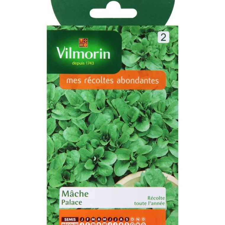 Discount VILMORIN Graines de mâche palace - graines à semer
