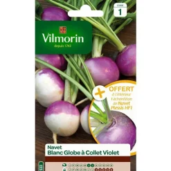 Hot VILMORIN Graines de navet blanc globe à collet violet - graines à semer