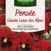 Clearance VILMORIN Graines de Pensée géante Lueur des Alpes - graines à semer