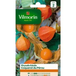 Online VILMORIN Graines de physalis Edulis Coqueret du Pérou - graines à semer