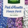 Best VILMORIN Graines de Pied d’Alouette vivace varié - graines à semer