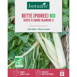 Hot BOTANIC® Graines de poirée verte à carde blanche 3 bio - graines à semer