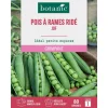 Best BOTANIC® Graines de pois ridé à rames jof - 80 graines à semer