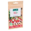 Sale BOTANIC® Graines de radis flamboyant 2 bio - graines à semer