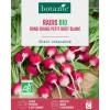 Hot BOTANIC® Graines de radis rond rouge à petit bout blanc bio - graines à semer