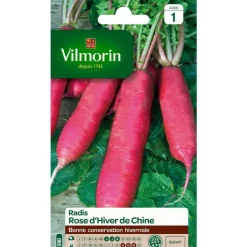 Sale VILMORIN Graines de radis rose d'hiver de Chine - graines à semer