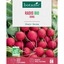 Hot BOTANIC® Graines de radis sora bio - graines à semer