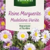 New VILMORIN Graines de Reine Marguerite Madeleine variée - graines à semer