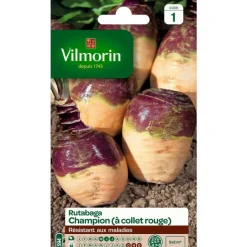 Sale VILMORIN Graines de rutabaga jaune à collet rouge - graines à semer