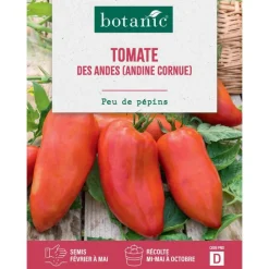 Sale BOTANIC® Graines de tomate des andes andine cornue - graines à semer