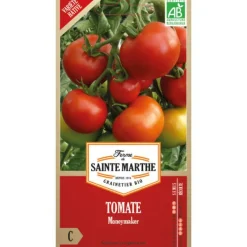 Discount FERME DE SAINTE MARTHE Graines de Tomate Monemakeer bio - graines à semer