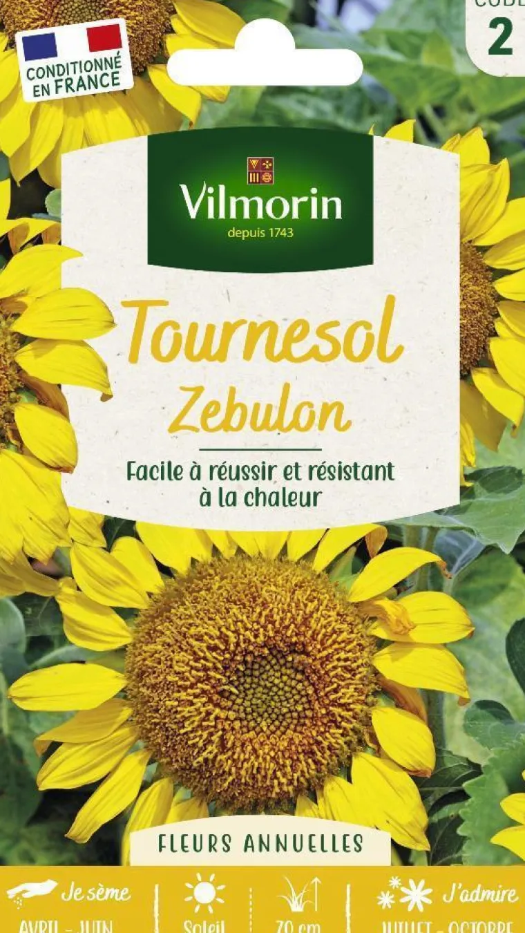 Best VILMORIN Graines de Tournesol Zebulon - graines à semer