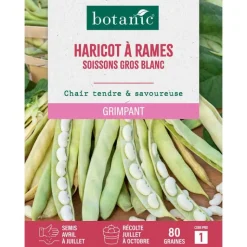 Clearance BOTANIC® Graines d'haricot à rames soissons gros blanc - 80 graines à semer