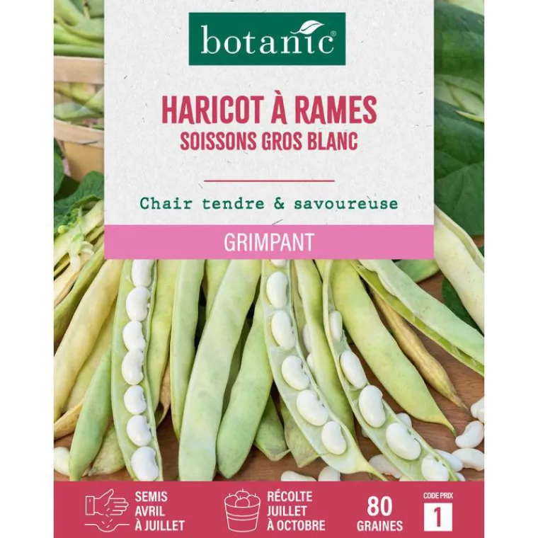 Clearance BOTANIC® Graines d'haricot à rames soissons gros blanc - 80 graines à semer
