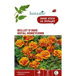 BOTANIC® Graines d'œillet d'Inde royal honeycomb - graines à semer