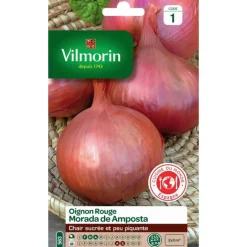 VILMORIN Graines d'oignon rouge morada d'Amposta - graines à semer