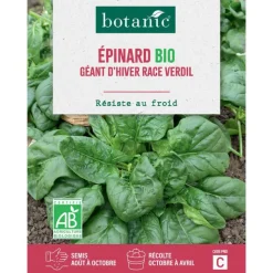 Outlet BOTANIC® Graines d'épinard géant d'hiver race verdil bio - graines à semer