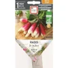 Discount ERNEST TURC Graines présemées de Radis de 18 jours bio - 1 ruban de 3 m