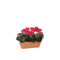 New Géranium rose foncé plante artificielle jardinière Terra 39x13x40 cm