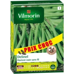 Online VILMORIN Haricot nain sans fil Delinel - graines à semer