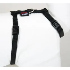Discount MARTIN SELLIER Harnais chat nylon noir 1-35/50 cm