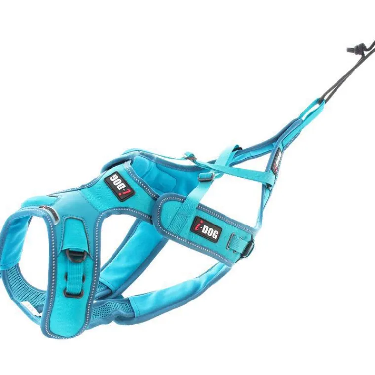 Best I-DOG Harnais pour chien coloris bleu canicross réglable X-Back Phoenix ALM - Taille L