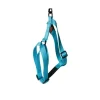 Hot MARTIN SELLIER Harnais Turquoise 35/50cm