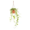 Sale Hedera Gold Child Panaché suspension Ø19xH55 cm
