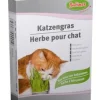 Online BUBIMEX Herbe à chat
