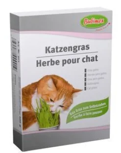 Online BUBIMEX Herbe à chat