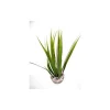 Sale LABEO Herbe verte en plastique petit modèle 16 cm