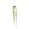 Hot Hoya Linearis suspension Ø12xH80 cm