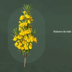 Outlet YOGI TEA Infusion de Noël édition Christmas Tea - la boîte carton de 17 sachets