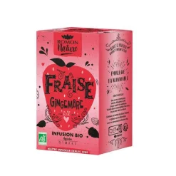 Hot ROMON NATURE Infusion fraise gingembre bio en briquette carton de 16 cl