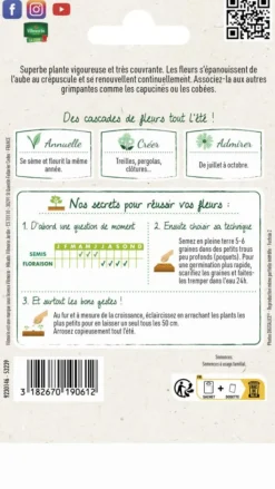 Outlet VILMORIN Ipomée Géante Scarlet Ohara - graines à semer