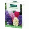 Discount BOTANIC® Jacinthe - 8 bulbes